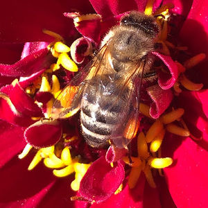 Meet your Posher, Sara